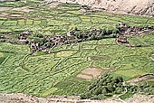  The valley leading to Changla - Ladakh